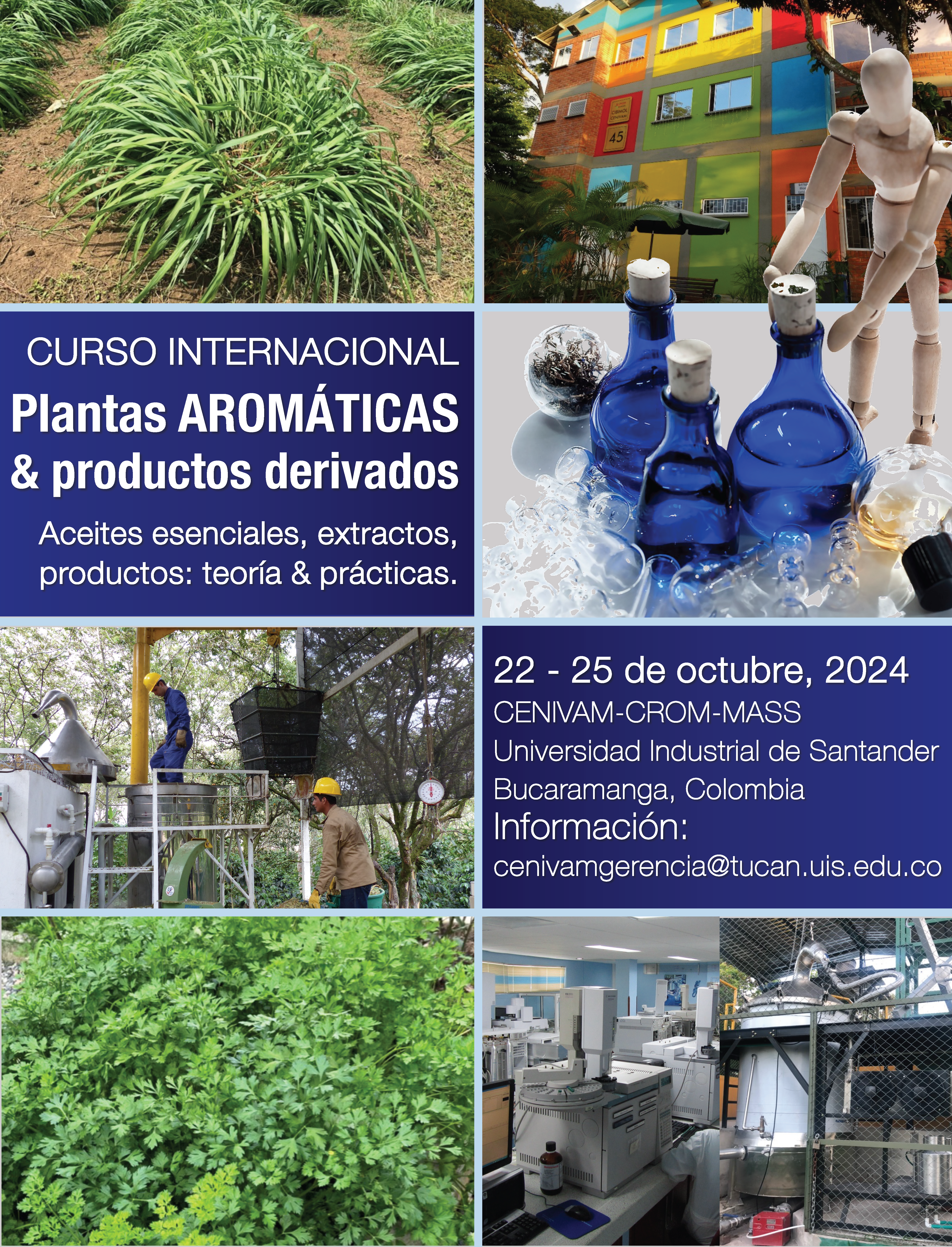Afiche curso internacional de plantas aromáticas y productos derivados