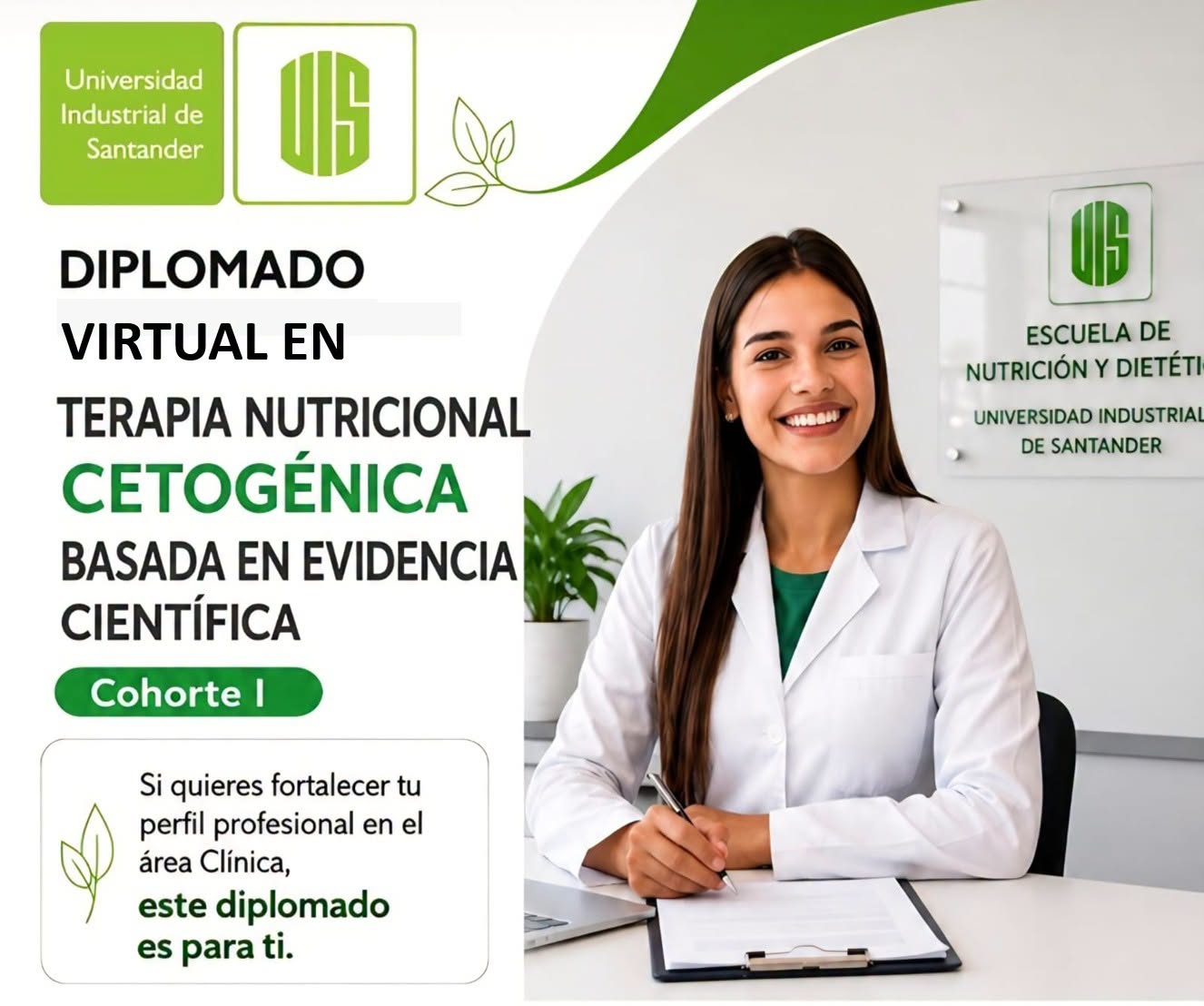 Imagen promocional del diplomado