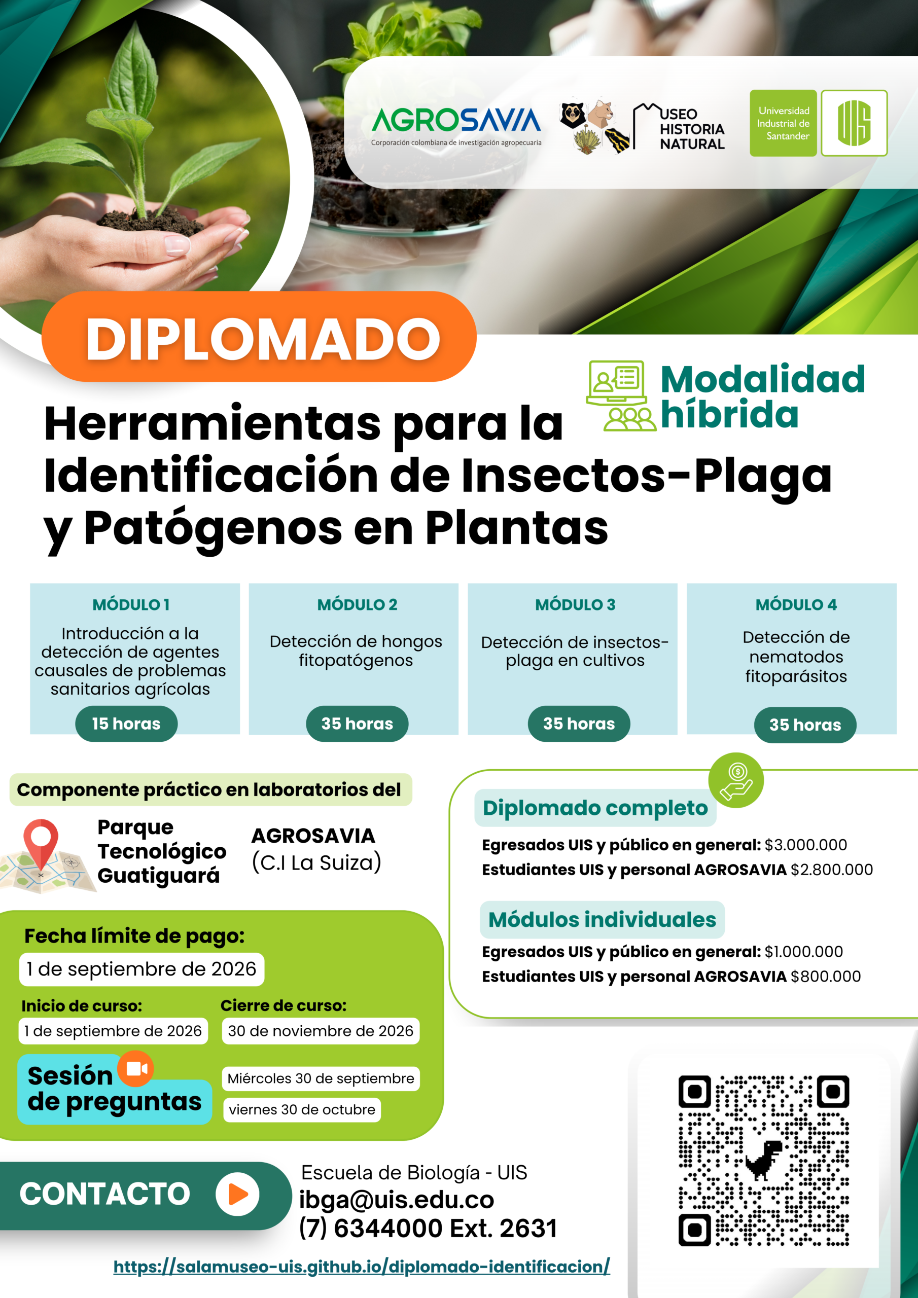 Folleto del diplomado Herramientas para la identificación de insectos-plaga y patógenos en plantas